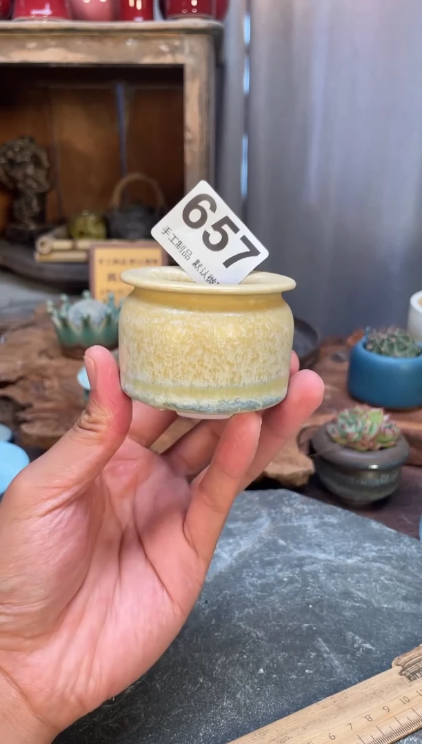 【闪购商品】摆件657知木小芳花盆