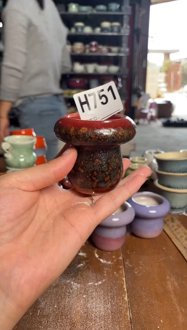【闪购商品】陶瓷其他H751