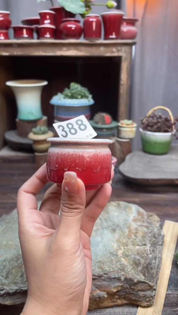 【闪购商品】摆件388知木小芳花盆