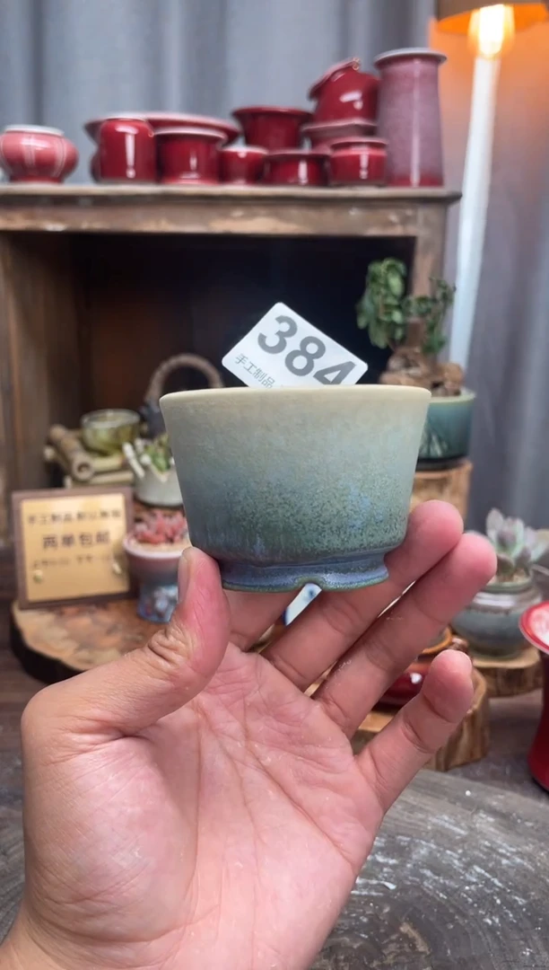 【闪购商品】摆件384知木小芳花盆