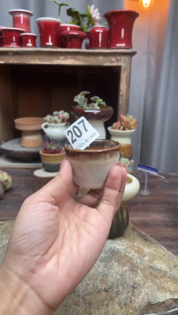 【闪购商品】摆件207知木小芳花盆