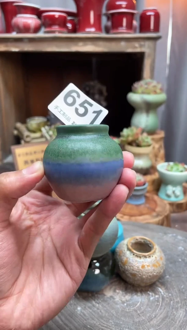 【闪购商品】摆件651知木小芳花盆