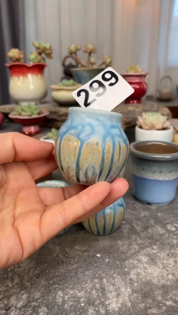 【闪购商品】陶瓷其他299福利微瑕