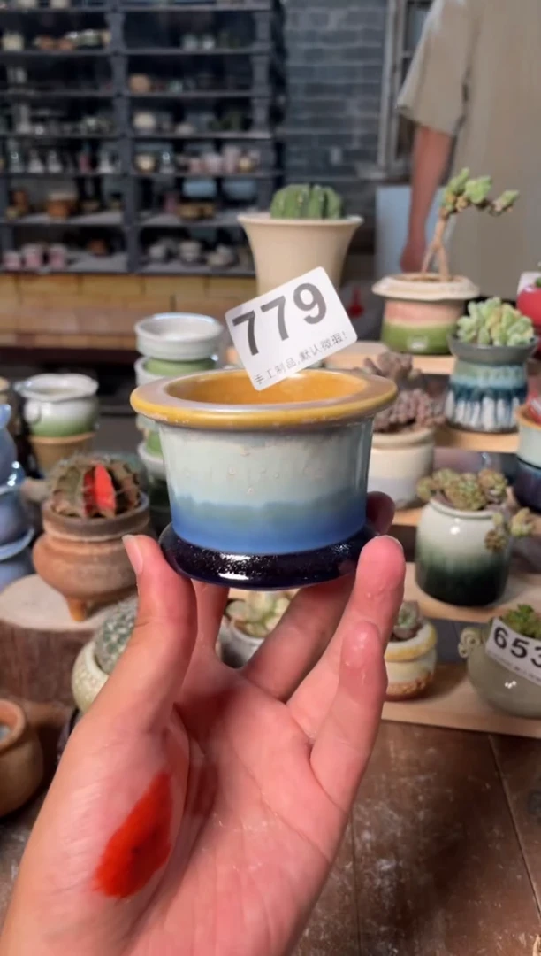 【闪购商品】摆件779小芳花盆直播链接