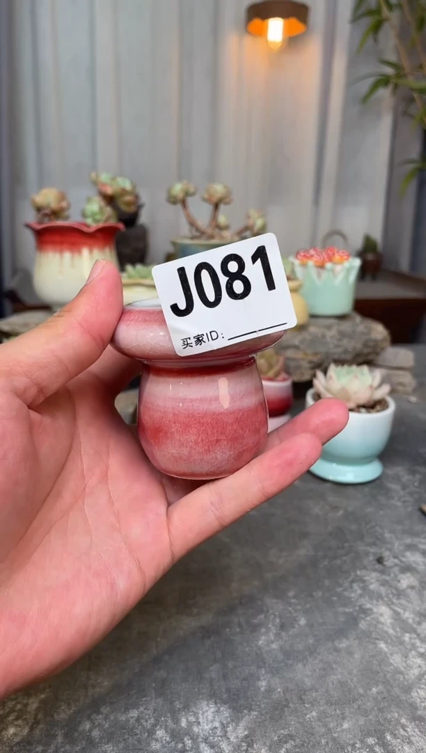 【闪购商品】陶瓷其他J081