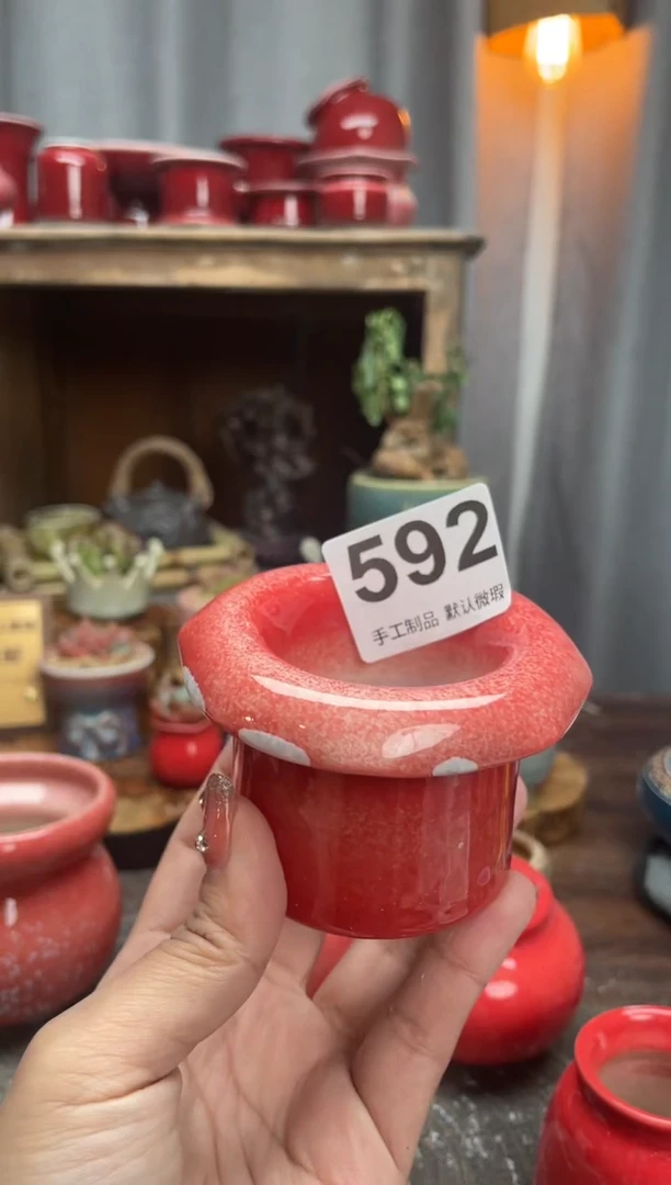 【闪购商品】摆件592小芳花盆直播编号