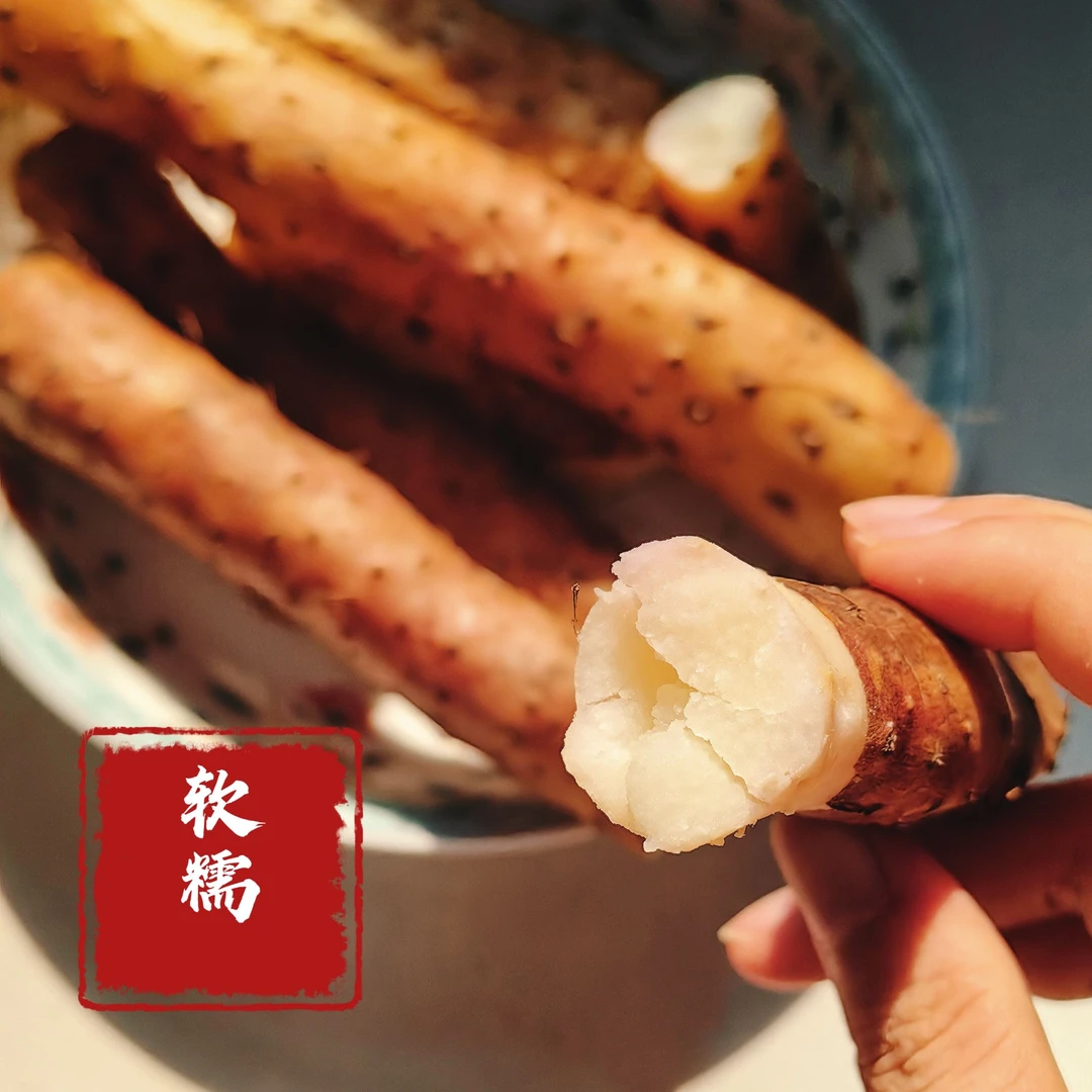 原产地怀山药铁棍山药垆土地河南焦作现挖现发软糯香甜农户自营
