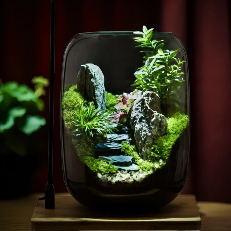 【青山】苔藓微景观禅意茶桌摆件绿植风水玄关家居艺术创意摆件