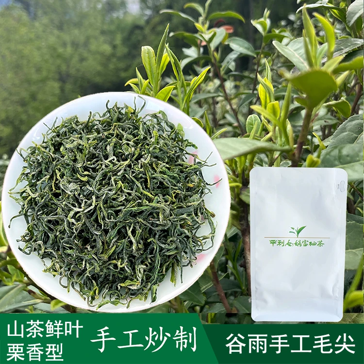 毛尖茶叶经典谷雨毛尖鲜爽嫩耐泡实惠好喝好茶品质原产平利女娲茶