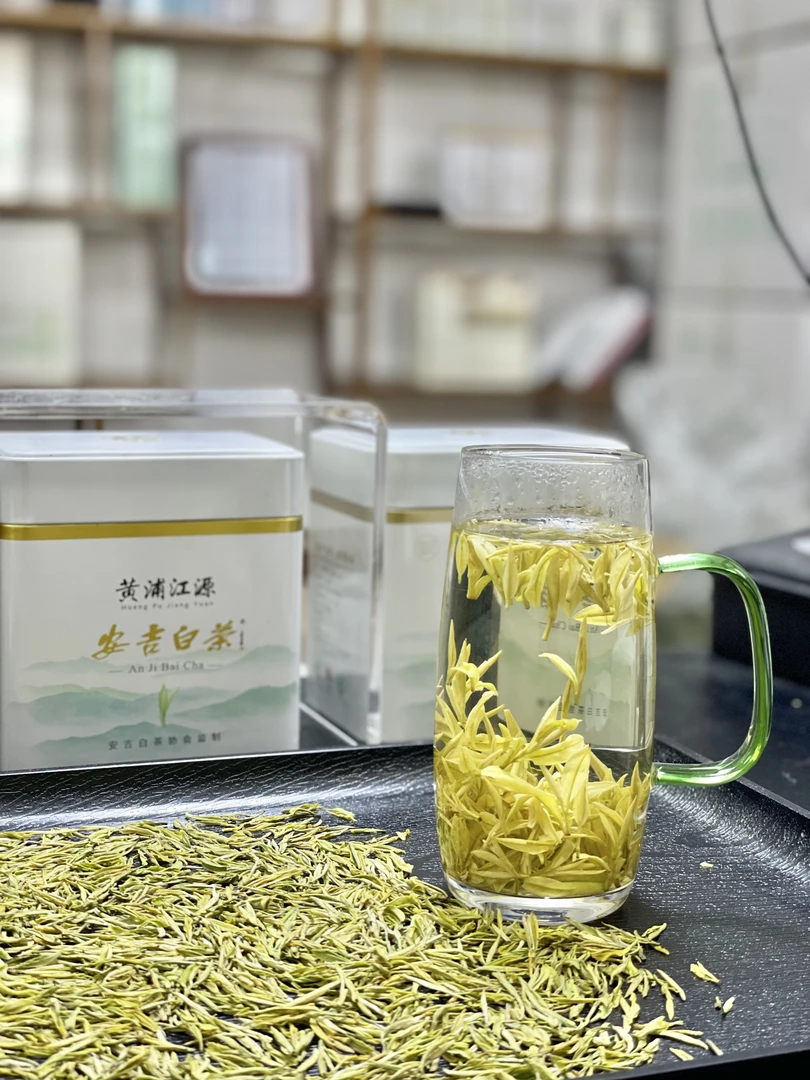 24（小熊猫）年黄金芽顶芽  贵族茶 奶香十足