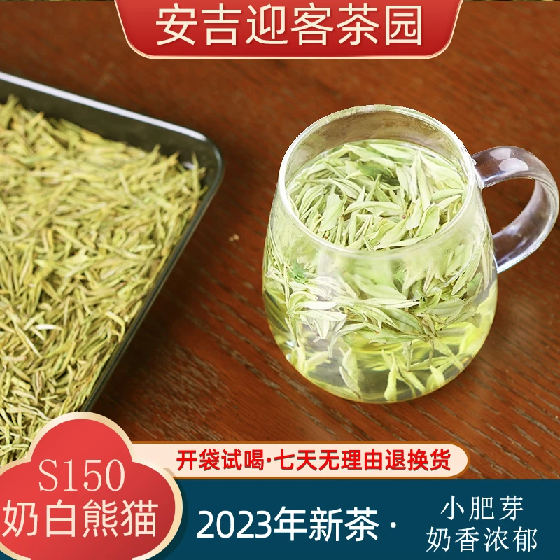 2023年新茶 奶香小熊猫安吉茶奶香味浓香