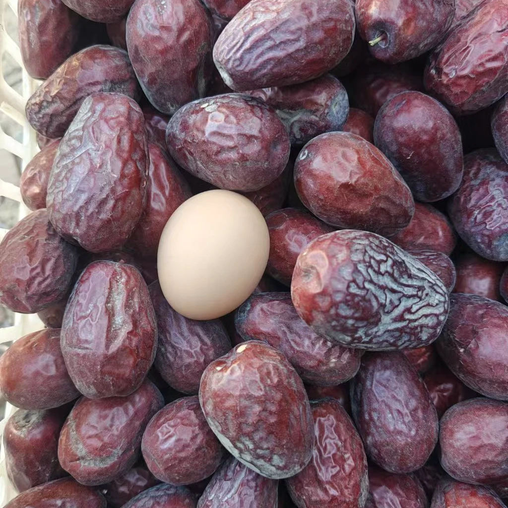 新疆和田大枣 特级4.5cm左右骏枣未清洗原生态不加工