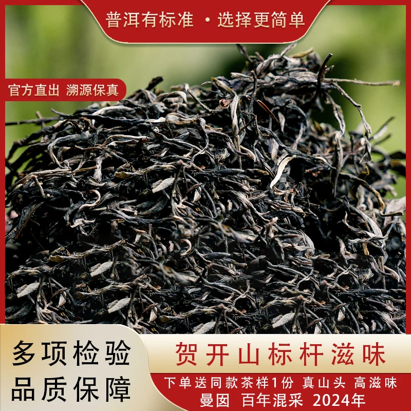 【勐海茶】2024年 曼囡 香杨水柔 百年混采 普洱茶 生茶 春茶 散茶