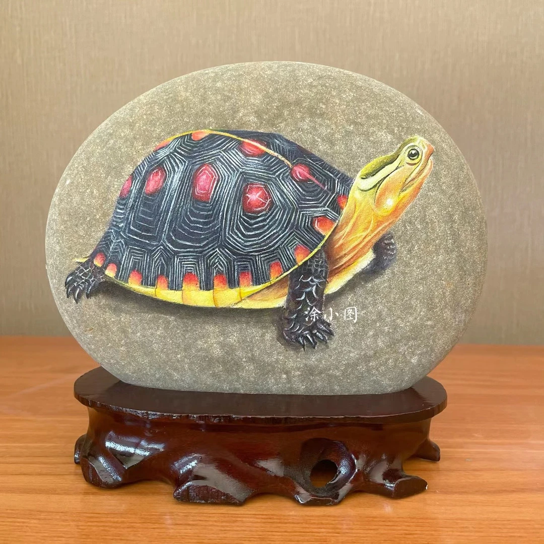 涂小图石头画黄缘龟20CM左右带实木底座（预定）