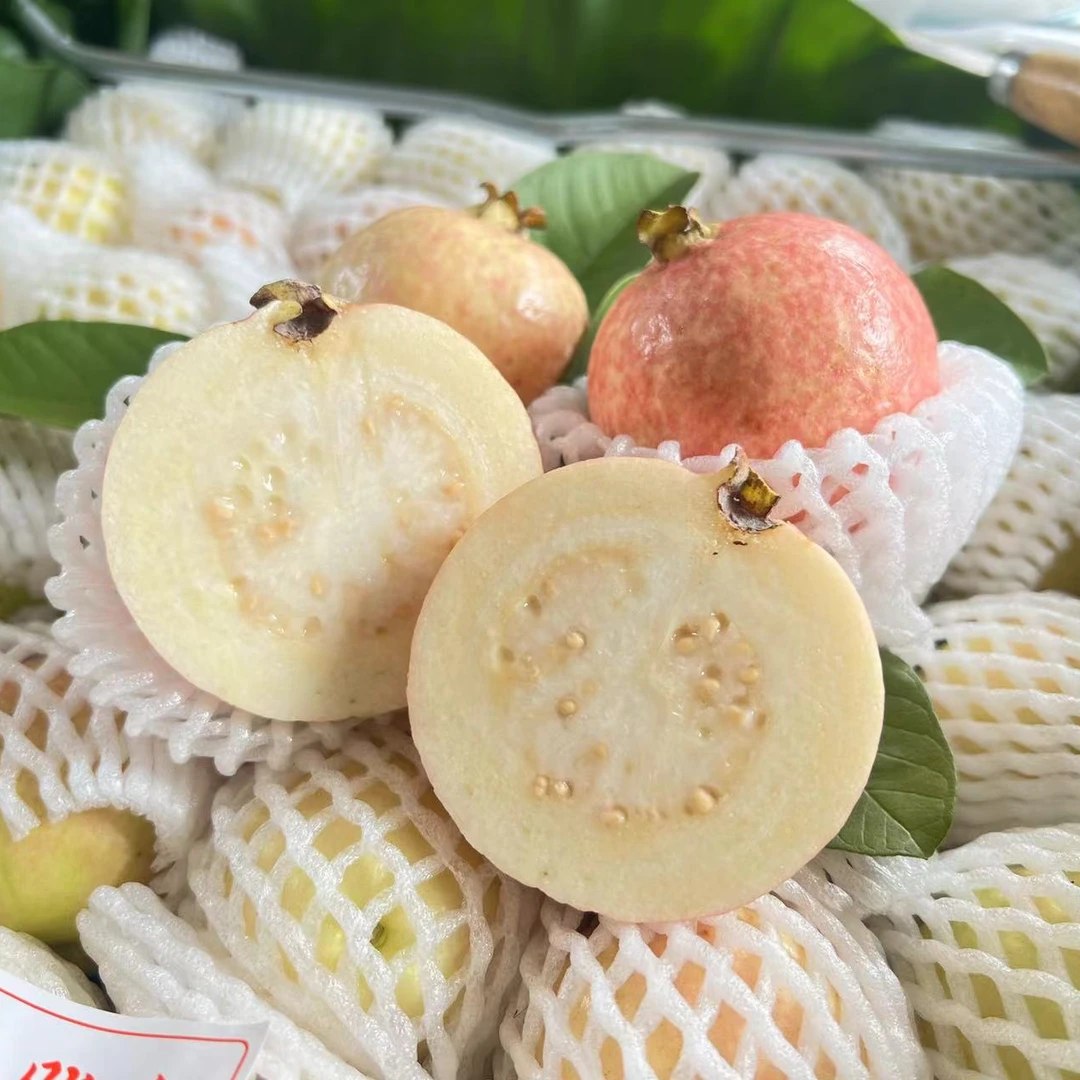 增城姻脂红 鸡屎果 花稔 番石榴 浓郁果香 2.5斤/4斤/6斤