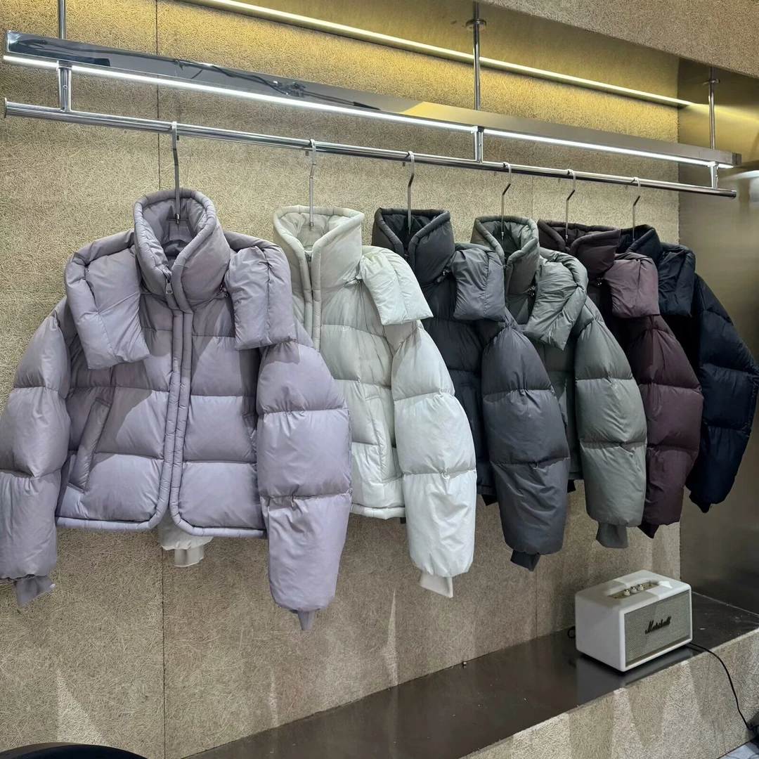 立领连帽磁吸扣羽绒服女短款2024年冬季新款洋气白鸭绒外套