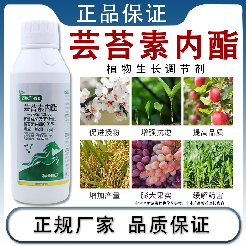 28表芸苔素内酯叶面肥保花保果促进生长增产芸苔素植物生长调节剂