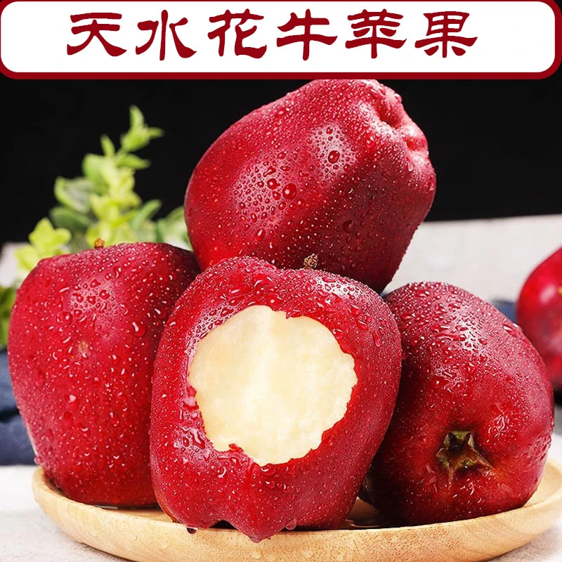 【中秋礼盒】中秋礼盒精品果王天水花牛苹果蛇果脆甜多汁净重7.5斤