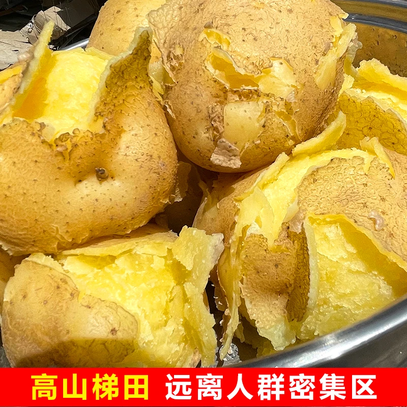 陇优汇2024现挖新鲜甘肃定西黄皮黄心土豆包邮粉面洋芋马铃薯