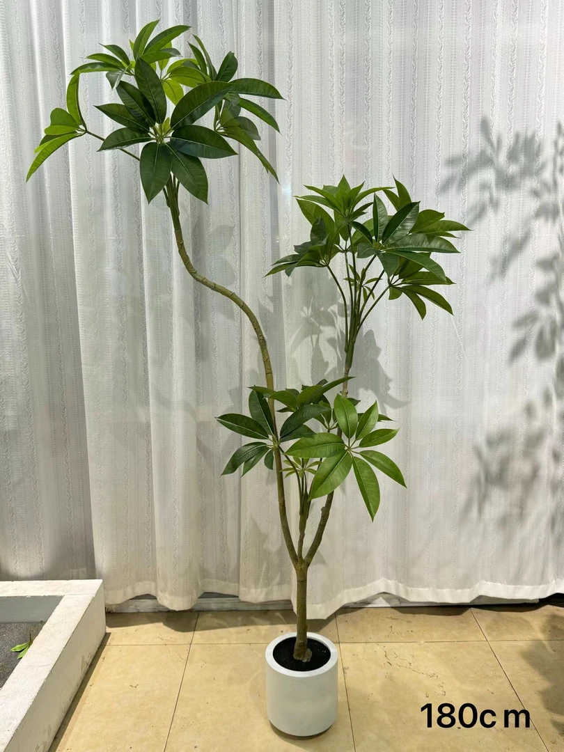 仿真植物高品质仿真发财树室内精品装饰材料