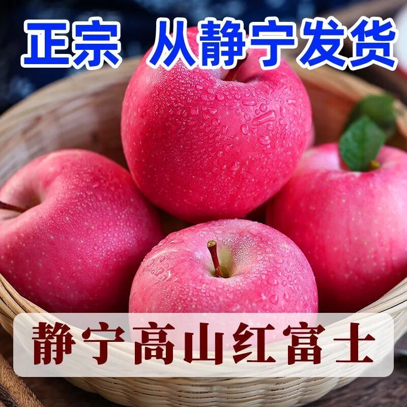 甘肃静宁红富士80mm现采现摘源头产地发货甜苹果红富士苹果正宗