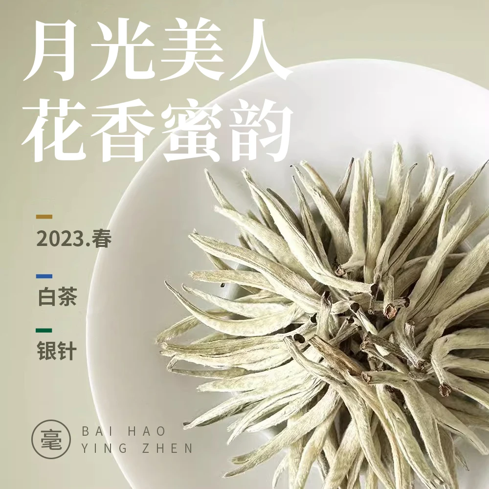 【口碑好茶】白毫银针高山茶叶古树白毫春芽嫩芽头毫香花香耐泡白茶