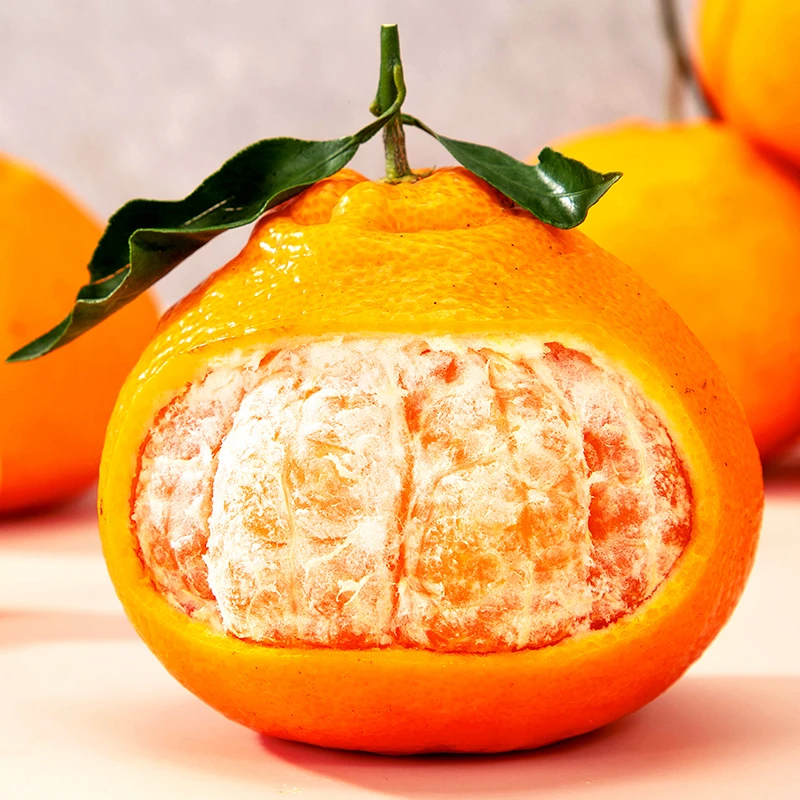 现摘正宗四川春见耙耙柑新鲜水果桔子丑柑粑粑杷杷橘子4.5/9斤