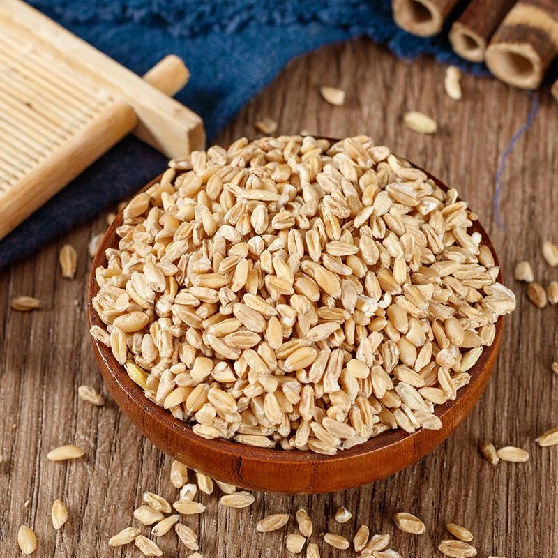 浮小麦精选正品浮小麦农家新货浮小麦干货250-1000克包邮非栀子