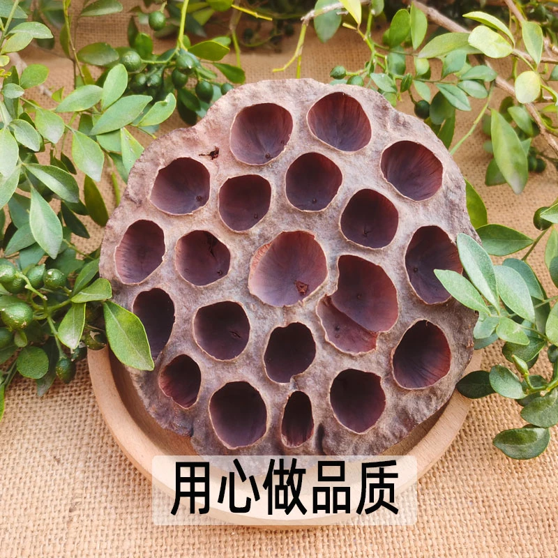 莲房莲子干莲蓬莲房新货老莲蓬藕实莲蓬莲子房干货500-1000克包邮