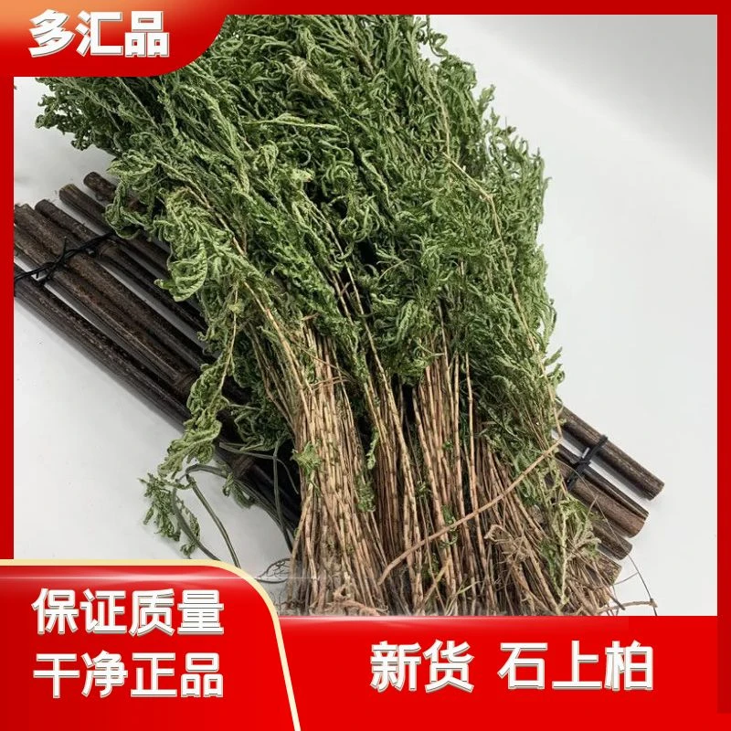 石上柏正品野生晒干石上柏整株全草石柏叶菜干货250g-500g包邮