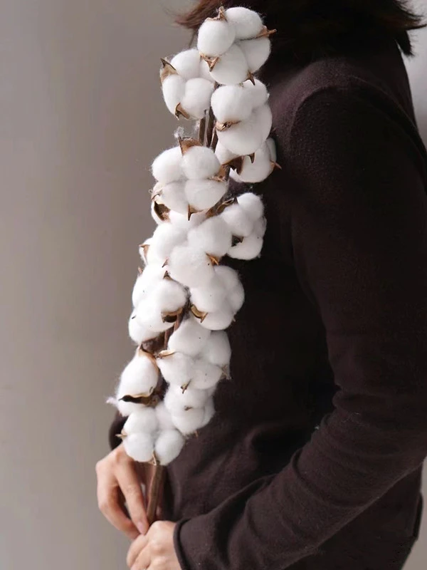 棉花，干花永生花 真棉花 花束家居装饰