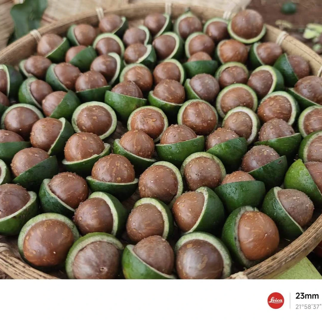 【老粉回购无开果器】鲜果0添加有机生态特大果云南夏果母婴零食