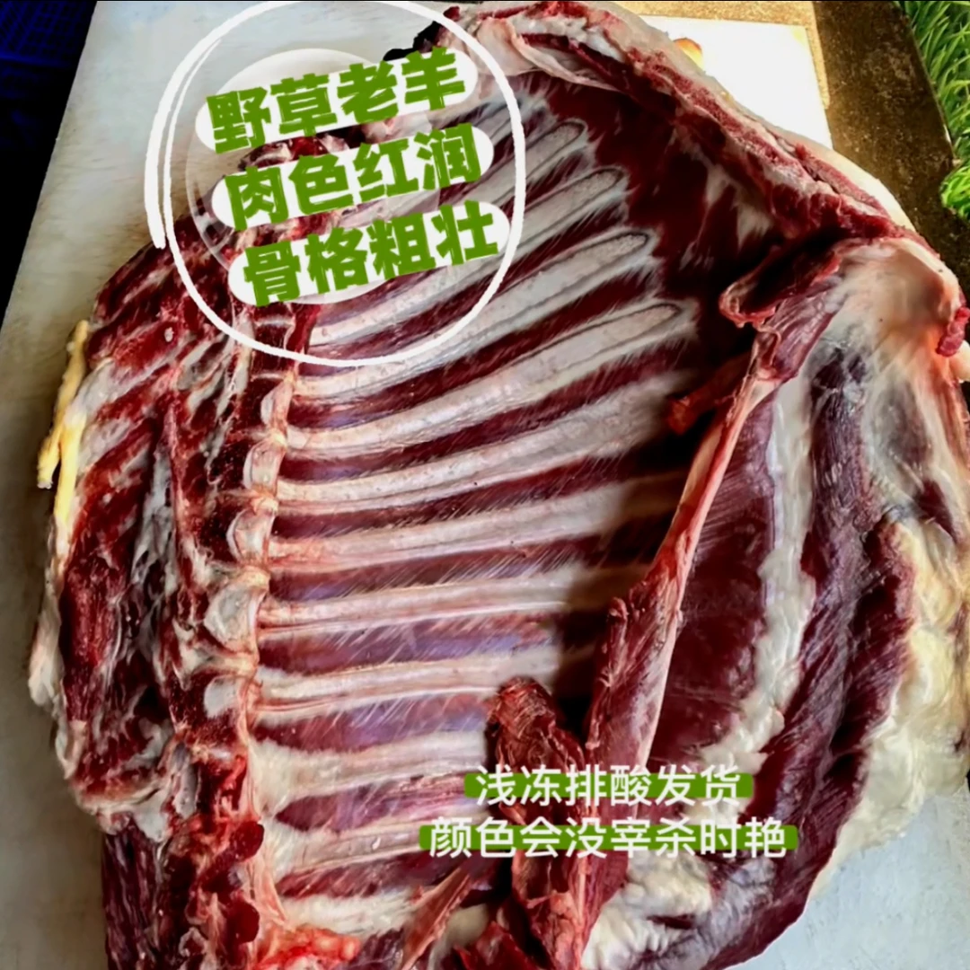 *黑山羊/大凉山纯正高山高海拔野草野养黑山羊土肥羊带皮羊排羊腿