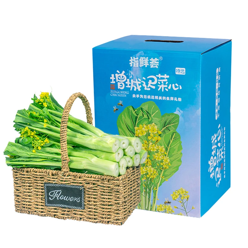 正宗增城迟菜心新鲜高脚菜心特产蔬菜精品特选礼盒装5斤现摘顺丰