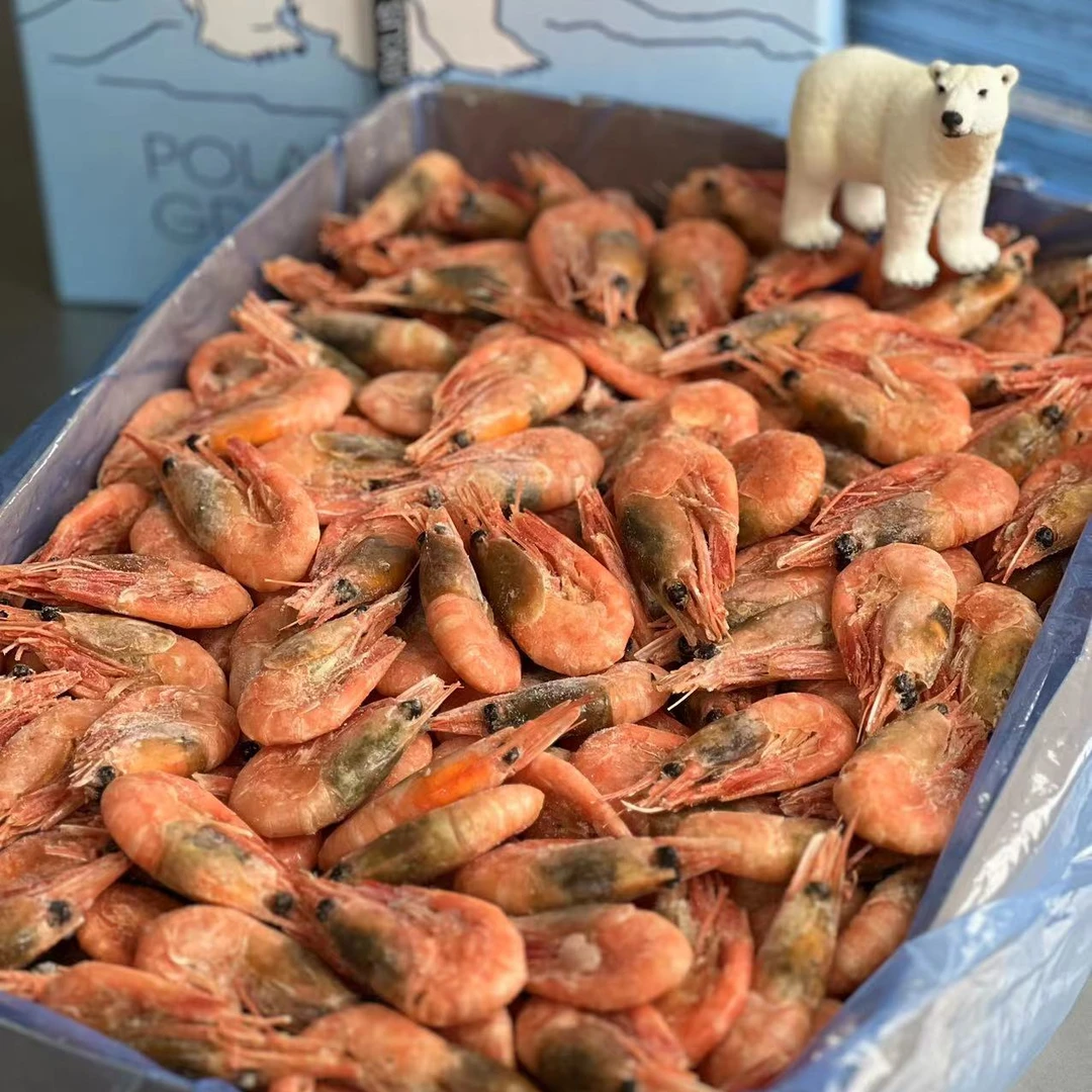 【吃肉款】海藻头 北极甜虾