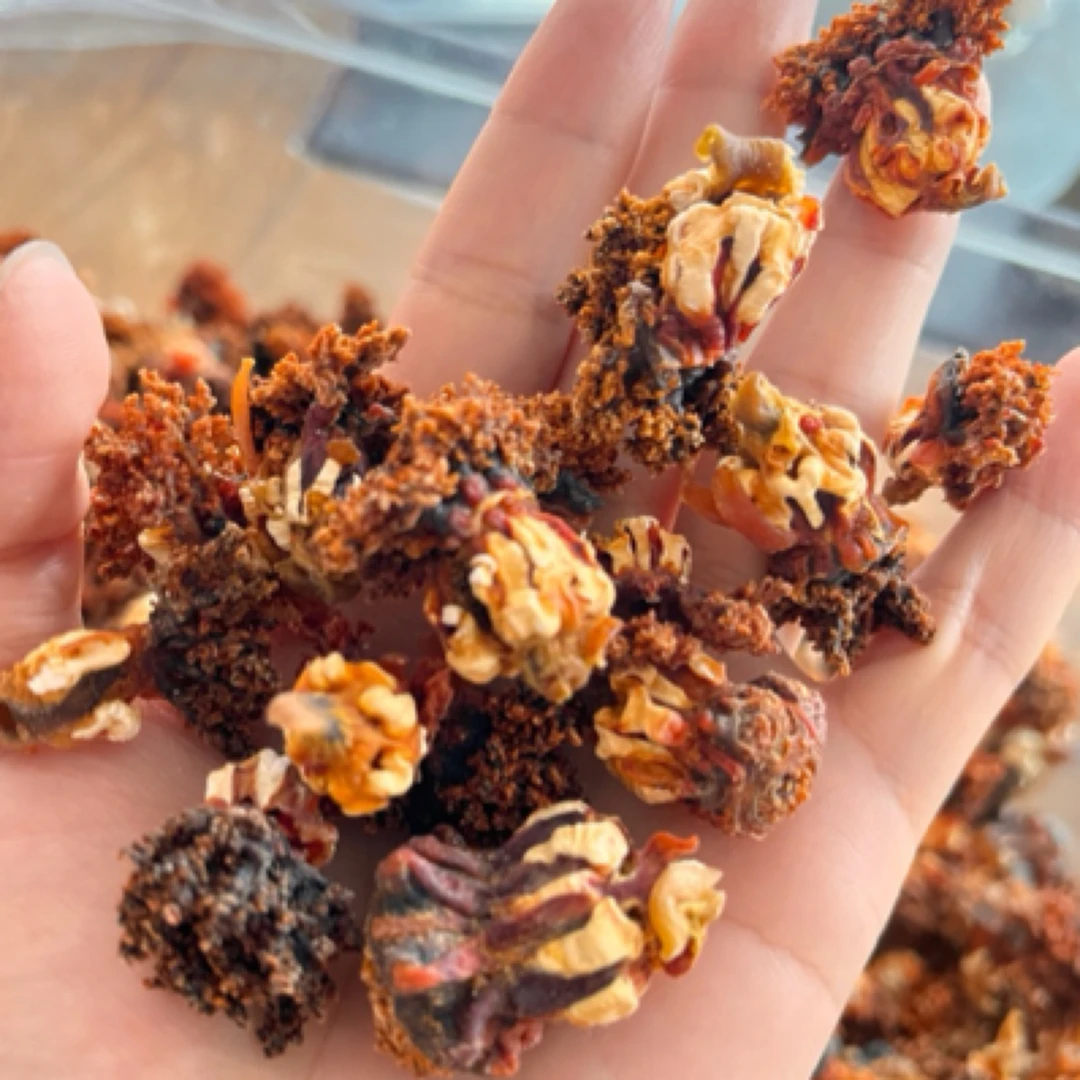 淡干海参淡干海参花