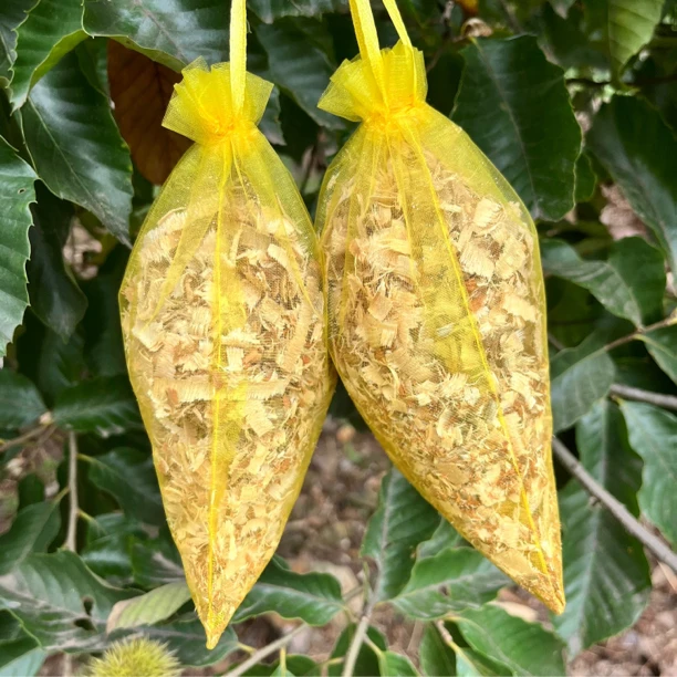 纯天然香樟木纯手工刨花衣柜防虫防蛀防蚊可放车里抽屉鞋柜子真空