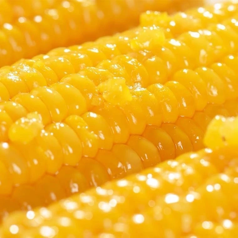 2023年头茬新鲜小黄粘，高品质280克以上，香甜糯，8+2整箱6斤以上