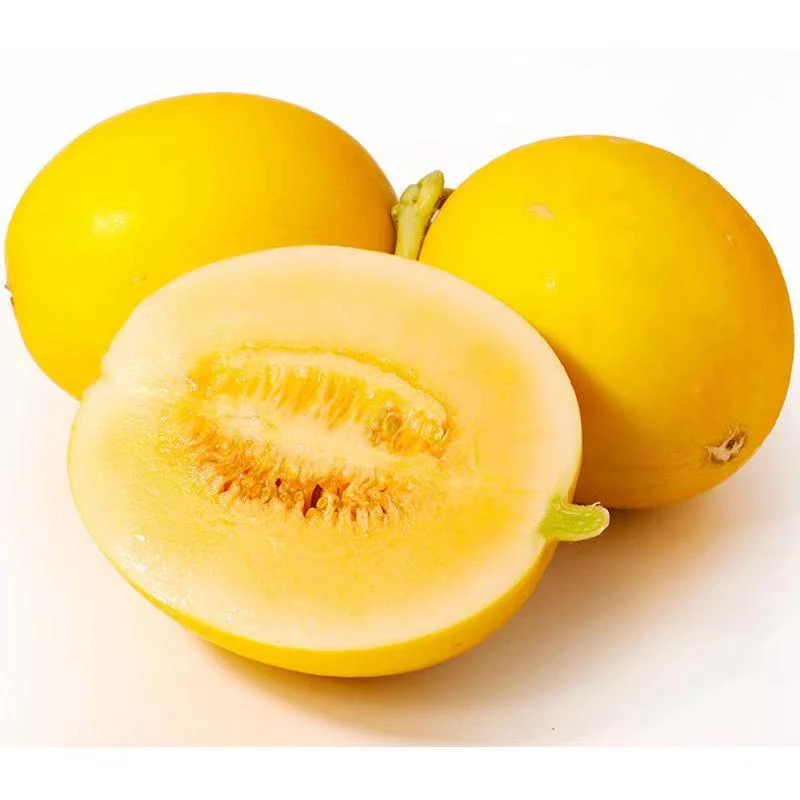 黄金蜜瓜39.9/箱4个约16斤