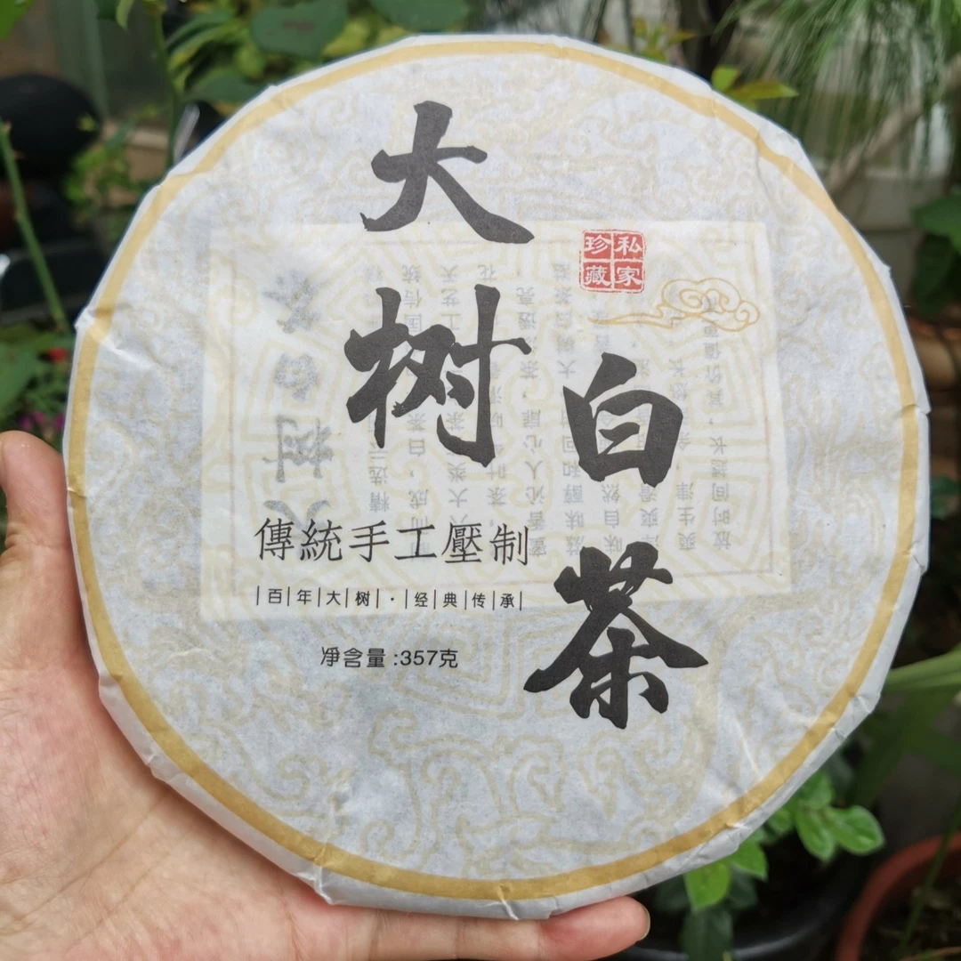 云南白茶  巴达山大树白茶  2022年春  357克／片