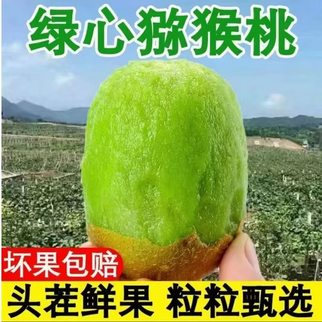 【9.9有15枚】陕西绿心猕猴桃奇异果绿心新鲜水果应当季整箱包邮