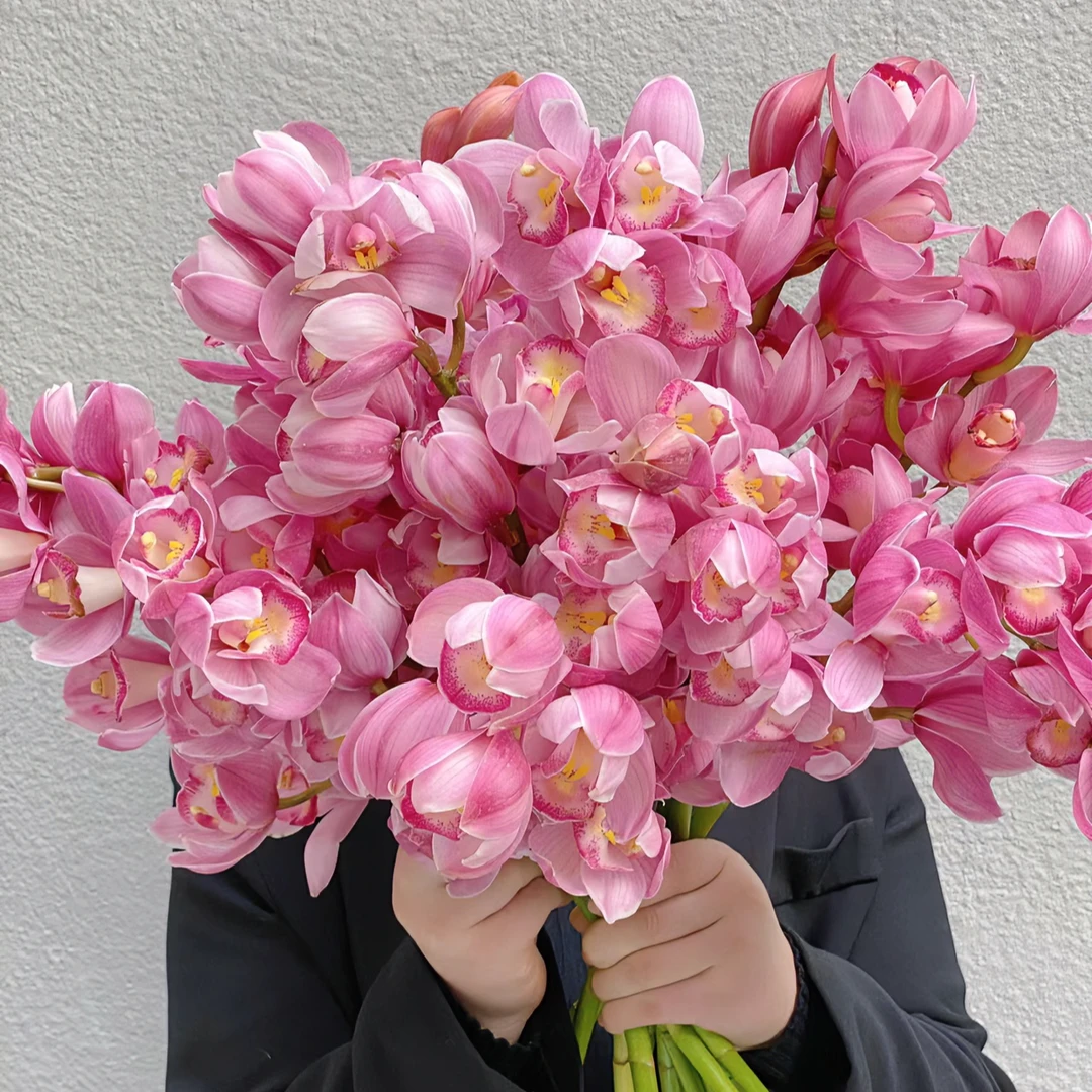 【大花蕙兰】自带香味 丨 高品质花材丨自带氛围感花材丨花期超久LL