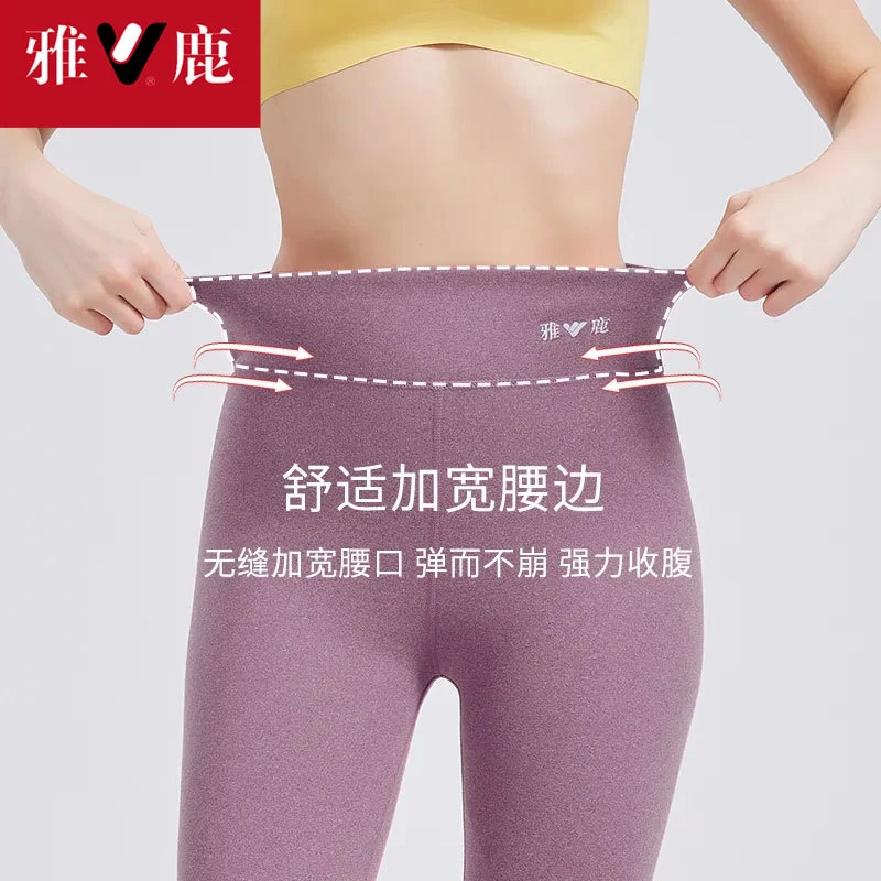 V/雅鹿女士德绒保暖裤7A抗菌无痕高腰收腹提臀速暖保暖秋裤女款
