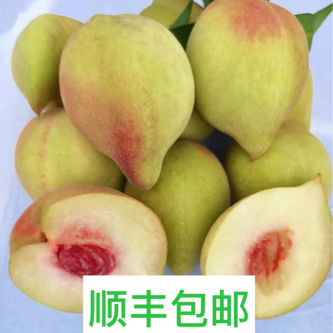 广西清甜脆口鹰嘴桃2/5/8斤顺丰包邮