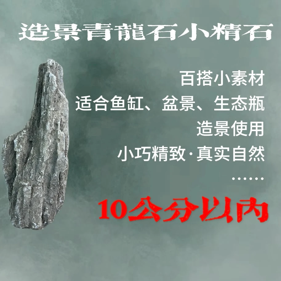 造景青龙石小素材（10公分以内）【百搭精选两个】精品微景观自然附石