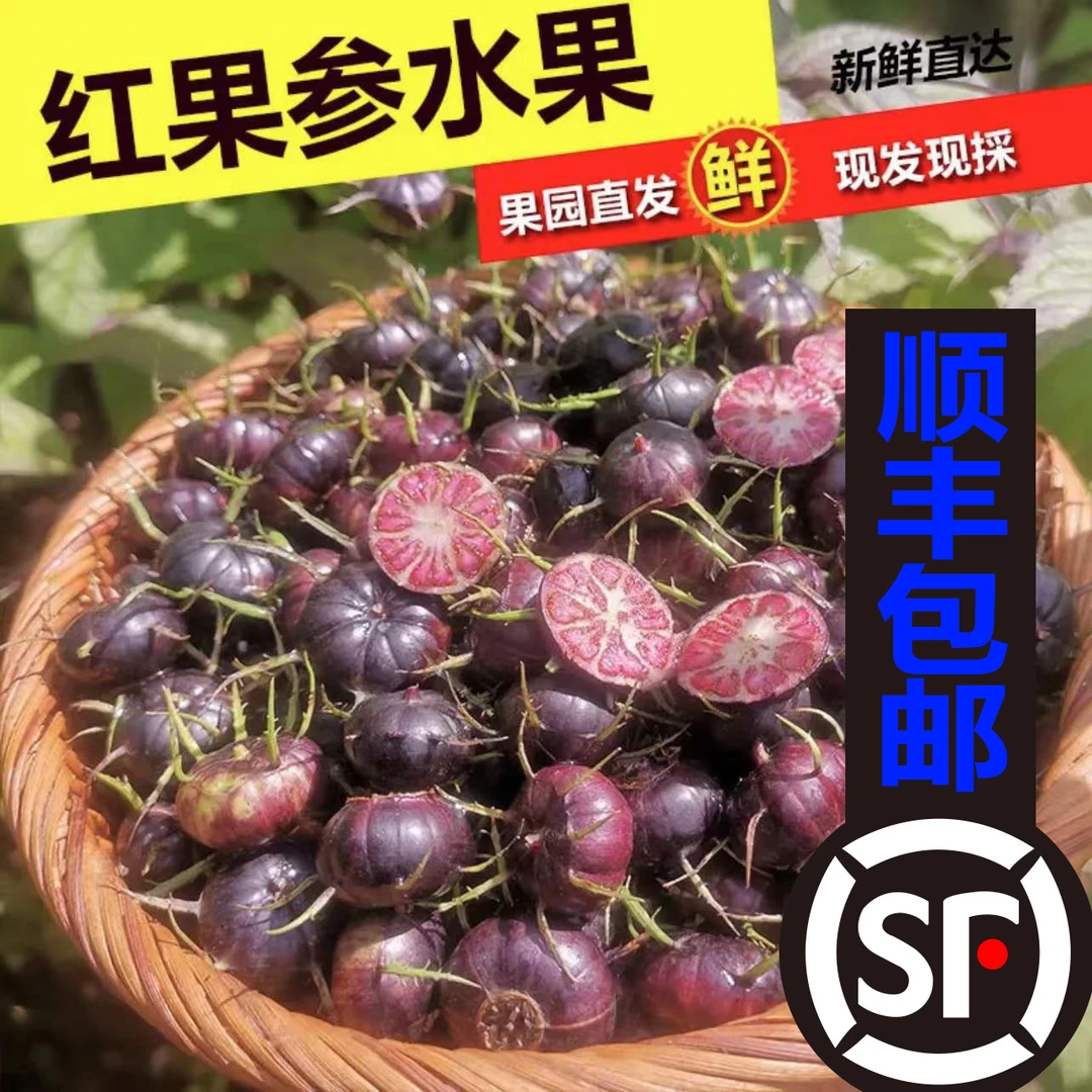 【谢广坤推荐】云南文山马关红果参蜘蛛果算盘果紫果125g/盒