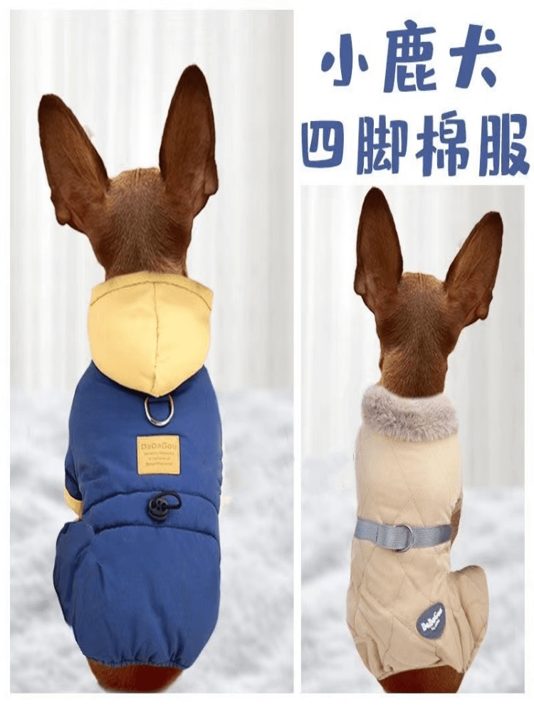 迷你杜宾小鹿犬专用衣服秋季冬天冬季狗狗四脚棉袄秋冬装鹿娃幼犬