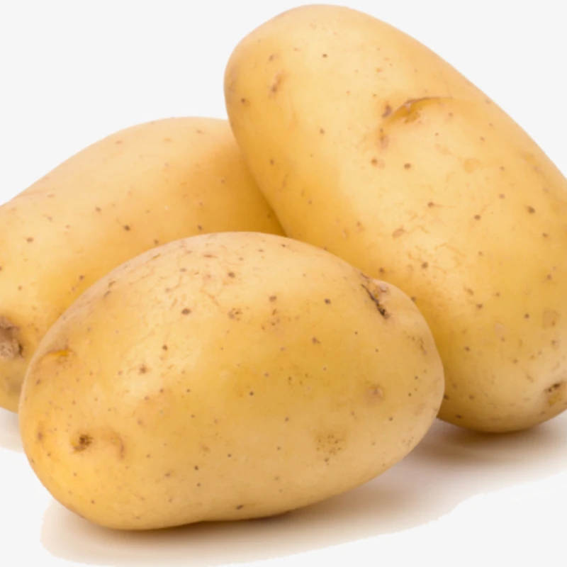 【农联专属】新鲜土豆约500g
