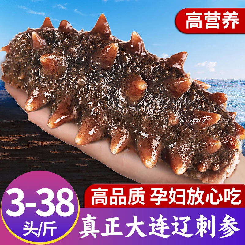 即食海参单个装500g大连海参辽刺参野生刺参开袋即食海参三星甄选
