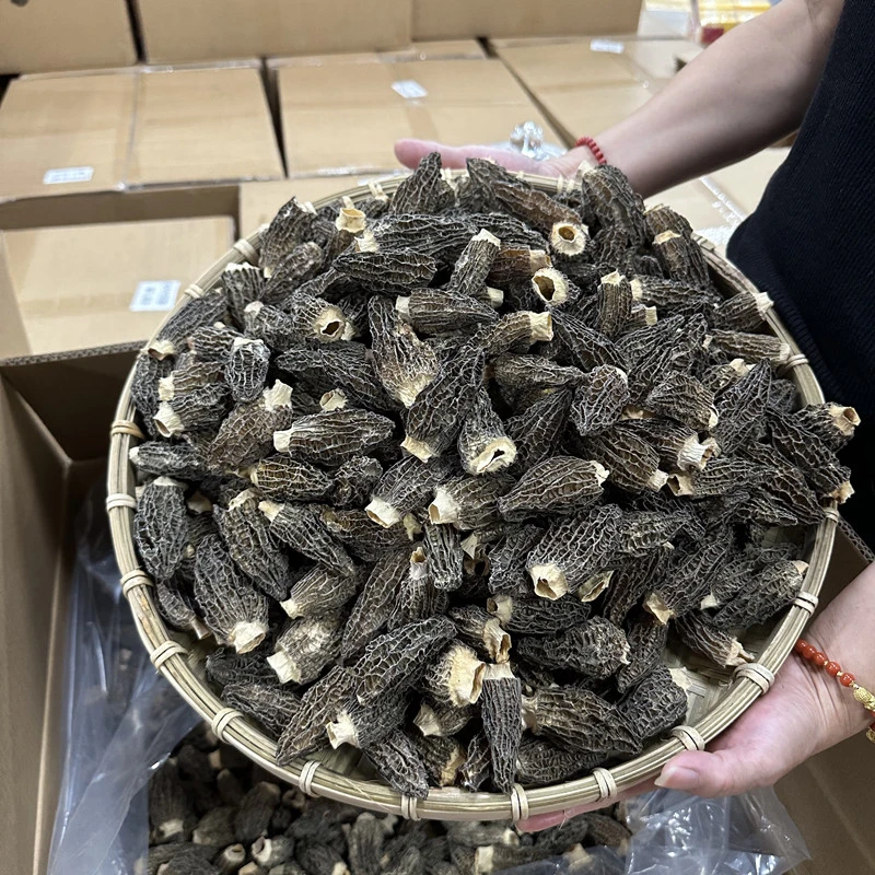 羊肚菌200g汤炖炒煮